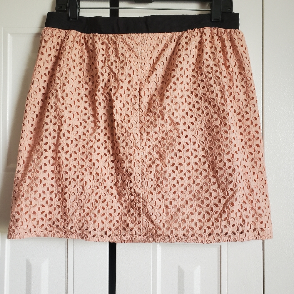 Ann Taylor Pink Eyelet Skirt
